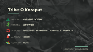 TRIBE-O KORAPUT