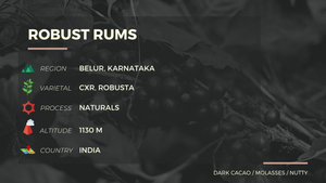 ROBUST RUMS